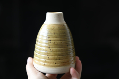 vaso portafiori verde salvia e crema