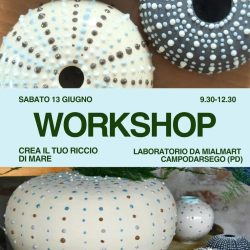 workshop ricci di mare